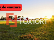Teren 500 mp intravilan agricol de vanzare in Timisoara - Zo