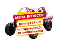 UTV Electric 2 Copii 2-8 Ani Can Am Power 800W 24V 4x4 Roti Moi Roz