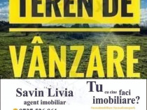 De vanzare teren 10.000 mp pe varianta 5 euro