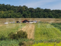 Teren agricol extravilan 60 ari Bardesti