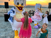 Costume Cosplay Mascote Donald si Daisy sau Tom si Jerry