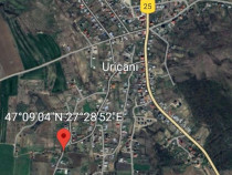 8.300 mp teren intravilan in Uricani Iași