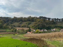 Casa Sat Richis, Jud. Sibiu