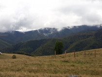 Teren Paltinis-Sibiu, zona Valari, intre Arka Park si Arena Platos