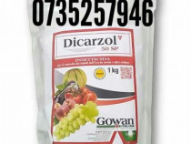 Dicarzol 50 SP insecticid Italia