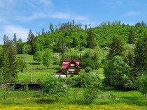 Casa de vacanta Lunca Bradului Mures