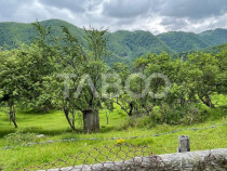 Teren intravilan de vanzare in Martinia de sus