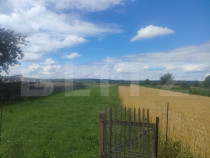 Teren intravilan la sosea, 6400 mp, Vicov de Sus