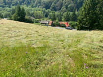 Oportunitate de Investiție: Teren de 10.000 mp la Intrarea