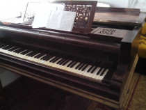 Pian Bösendorfer, an 1862 – piesă de colecție, necesită restaurare