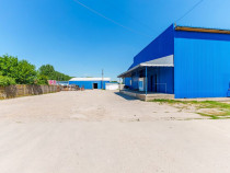 Depozit frigo de &icirc;nchiriat &icirc;n Săcălaz