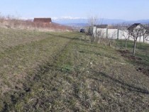 Teren intravila Sura Mare 550mp