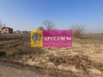 Teren investitie Ilfov