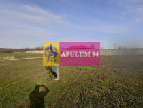 Parcelă lângă pădure în Ilfov