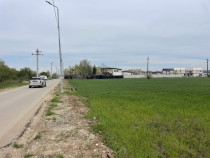 Domnești, Str Foișorului, 11470mp, deschidere 36ml, utilit