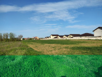 Teren investitie Cernica, Posta