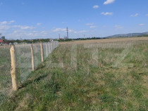Teren intravilan 525 mp apa curent gaz la aprox. 50 m constr