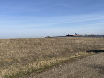 Teren intravilan 500mp, Pielesti, langa lac