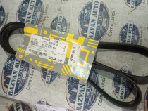 Curea transmisie cu caneluri Renault Laguna