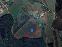 Teren 18,600mp Bazna / Prelungirea Principala