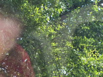 Zmochin puiet inflirit