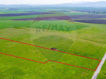 Teren agricol 5 ha, extravilan, 52 m deschidere la șosea