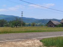 Casa+teren 5000mp, 70ml la DN 2E, zona Cacica, Radauti