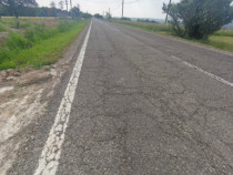 Casa+teren 5000mp, 70ml la DN 2E, zona Cacica, Radauti