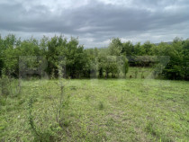 Teren extravilan 5200 mp &ndash; Budacul de Jos- Investiție ex