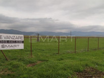 Teren intravilan cu PUZ 30.000 mp Prejmer