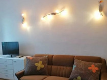 1 camera in zona Torantalului