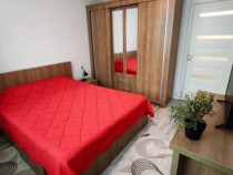 2 camere in zona Aradului