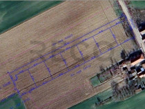 RECO parcele teren Sannicolaul Roman