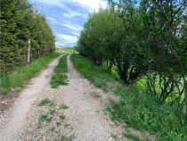 RECO Teren intravilan in Saldabagiu de munte 985mp