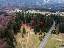 Teren cu potential:1.000 mp,proiect turistic rezidential,Poi