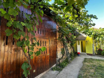 Reco Casa cu teren in Uileacul de Beius