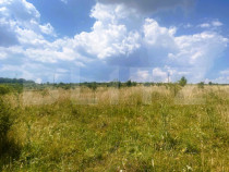 Teren construibil, 1100 mp, cu certificat de urbanism, Salic