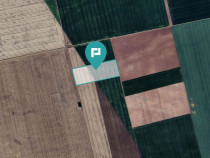 Teren arabil de 4,4Ha &icirc;n Șimand