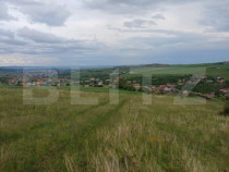 Teren extravilan 1248 mp in Copaceni! Oportunitate investiti