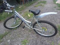 Bicicleta Mountain bike First Bike