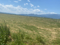 Teren Rasnov 1935 mp