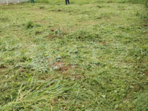 Teren casa individuală, Dumbrăvița