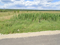 Teren 3200mp Dragomiresti Dambovita /negociabil