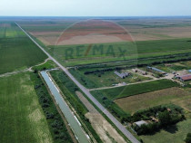 Fermă vegetală 148 ha și sediu fermă M&atilde;ic&atilde;neşti !