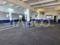 Spatiu industrial de 300 mp de inchiriat in Sebes Alba