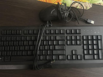 Razer Power Up Bundle – Kit gaming complet