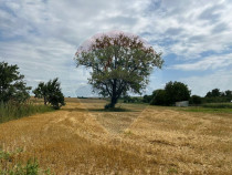 Casa si teren intravilan 4.779 mp Girov, Neamț