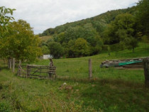 Teren extravilan-Loc. Roscani, comuna Dobra, judetul Hune...