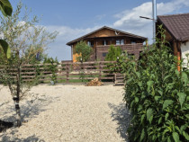 Casa Mizil, Prahova Sau schimb cu Pensiune Eforie