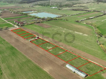 RECO, teren intravilan, Ineu,Bihor